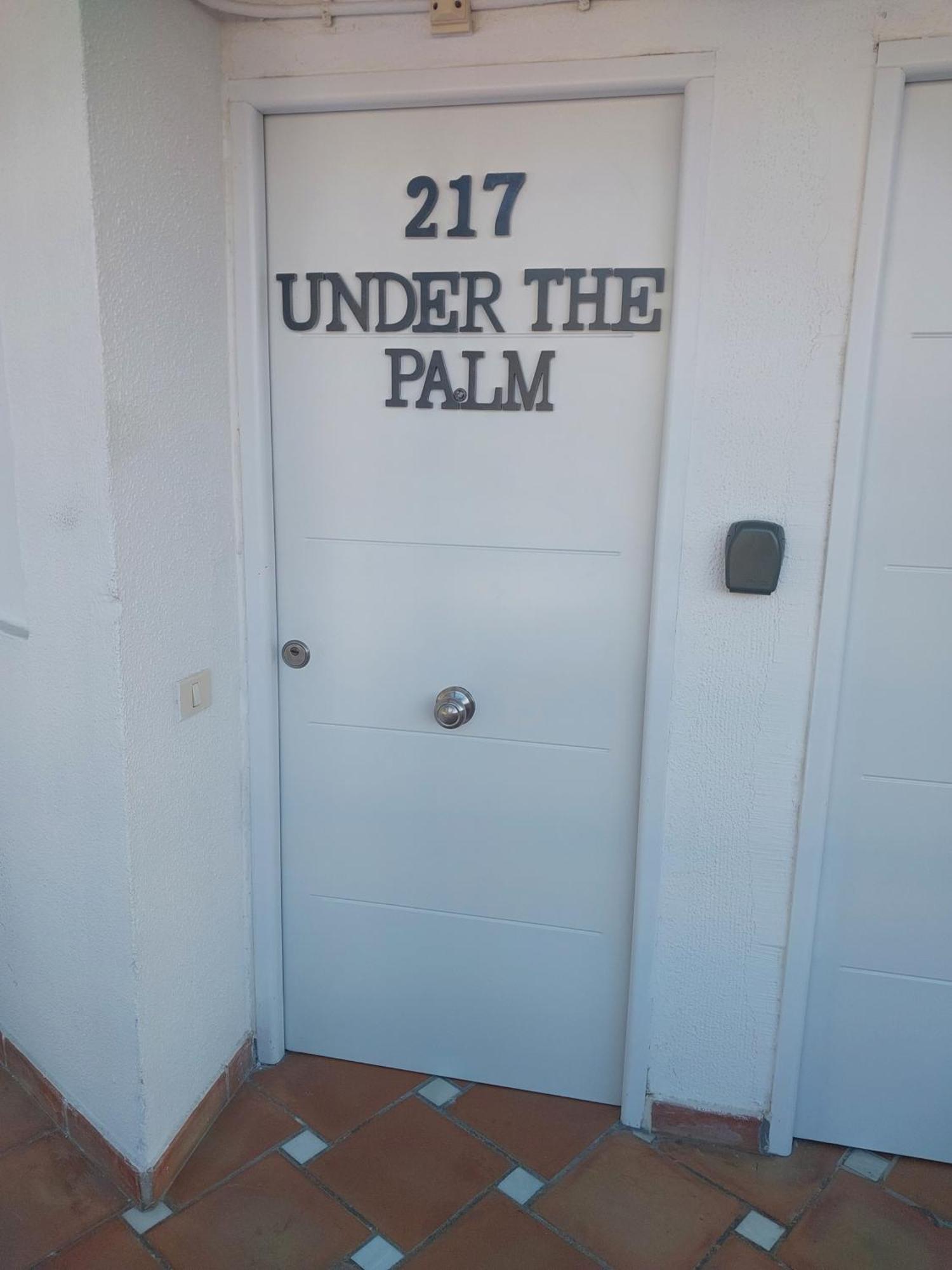 美洲海滩Under The Palm公寓 外观 照片